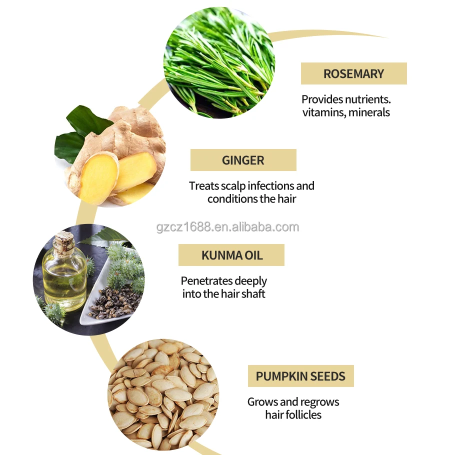 Wholesale Organic Fast Hair Regrowth Oil Best Anti Loss Rosemary Natural Hair Growth Serum Oil Private Label