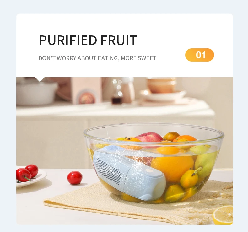 Vegetable Purifier (10).jpg