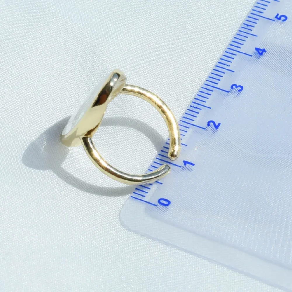 Wholesale factory price classic flower jewelry 925 silver gold real flower Elliptical resin rings