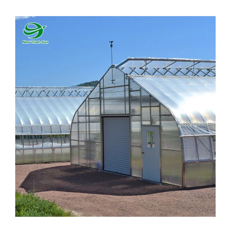 
Low Cost High Quality Tunnel Commercial Used Aquaponic Single-span Greenhouses 