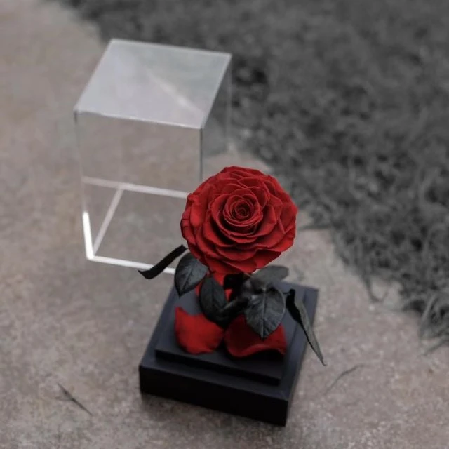 Factory price red roses gift summer flora wholesale forever red rose acrylic box flower send to a friend