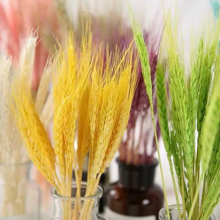Whole Sale Fall Flower Arrangement Cheap Colorful Barley Straw Dried Wheat Flower