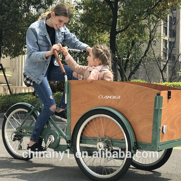 Electric Cargo Bike Made in China Bakfiets Delivery Cargo Urban Family