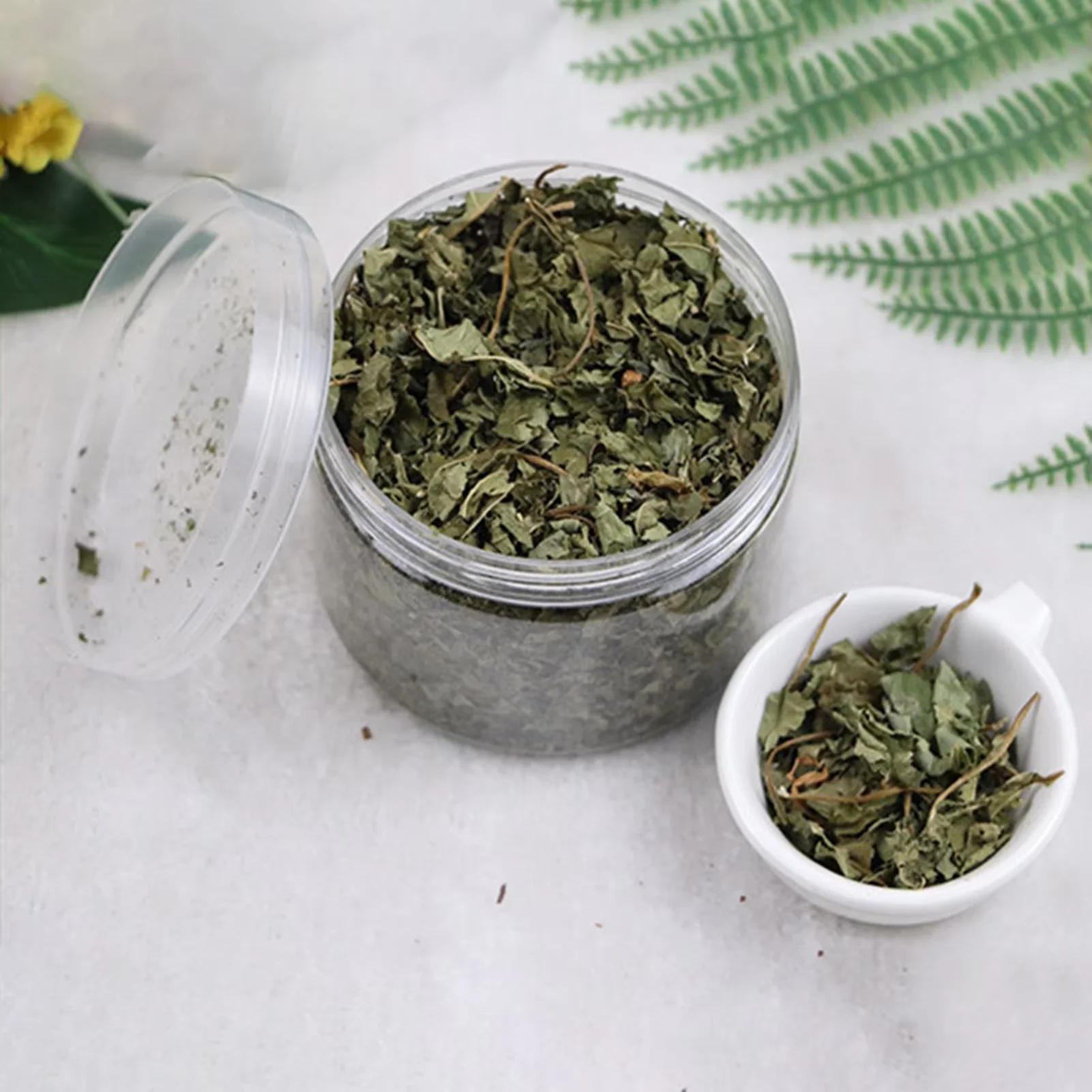 HOT SELLING Organic Natural Catnip Pet Chew Toy Mint Grass Menthol Sprinkled on Kitten Catmint for Cats Supplies