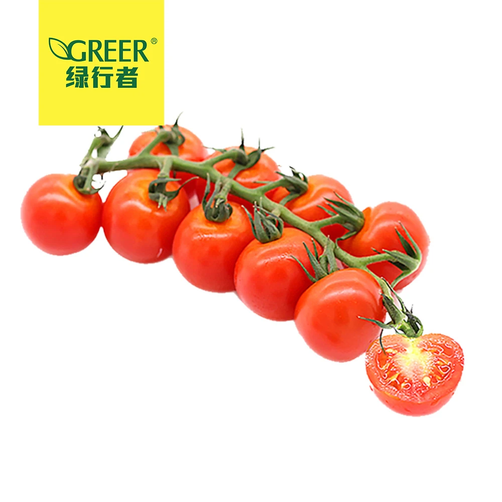 Tomato cherry organic tomatoes fresh fresh vegetables