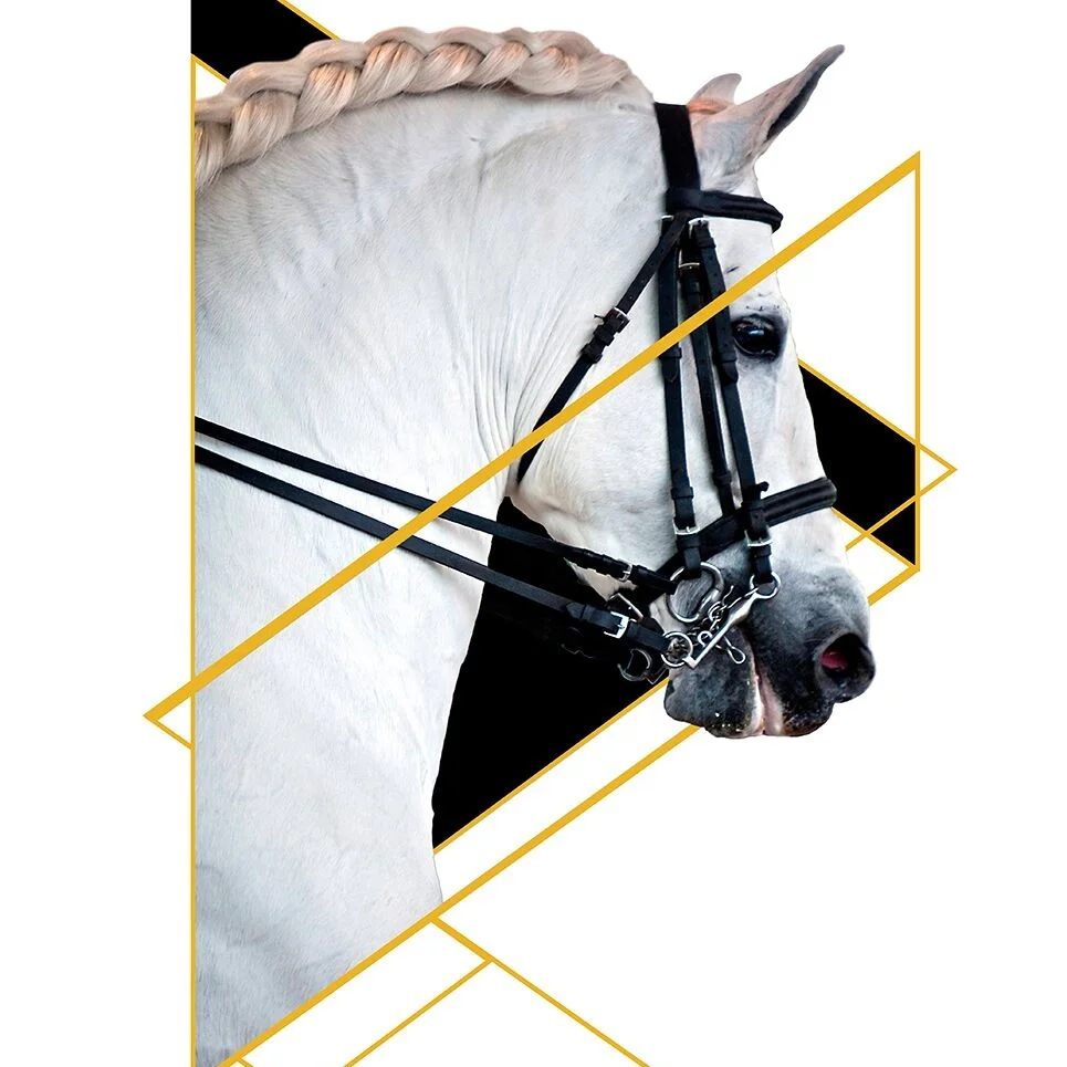 Wall mounted horse head home decorated wall painting