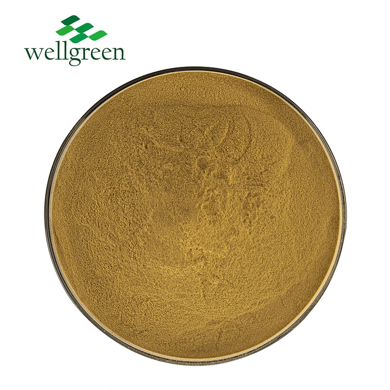 Wellgreen Factory Supply Natural 98% Chlorogenic Acid Flower Cas 327-97-9 Honeysuckle Extract Chlorogenic Acid