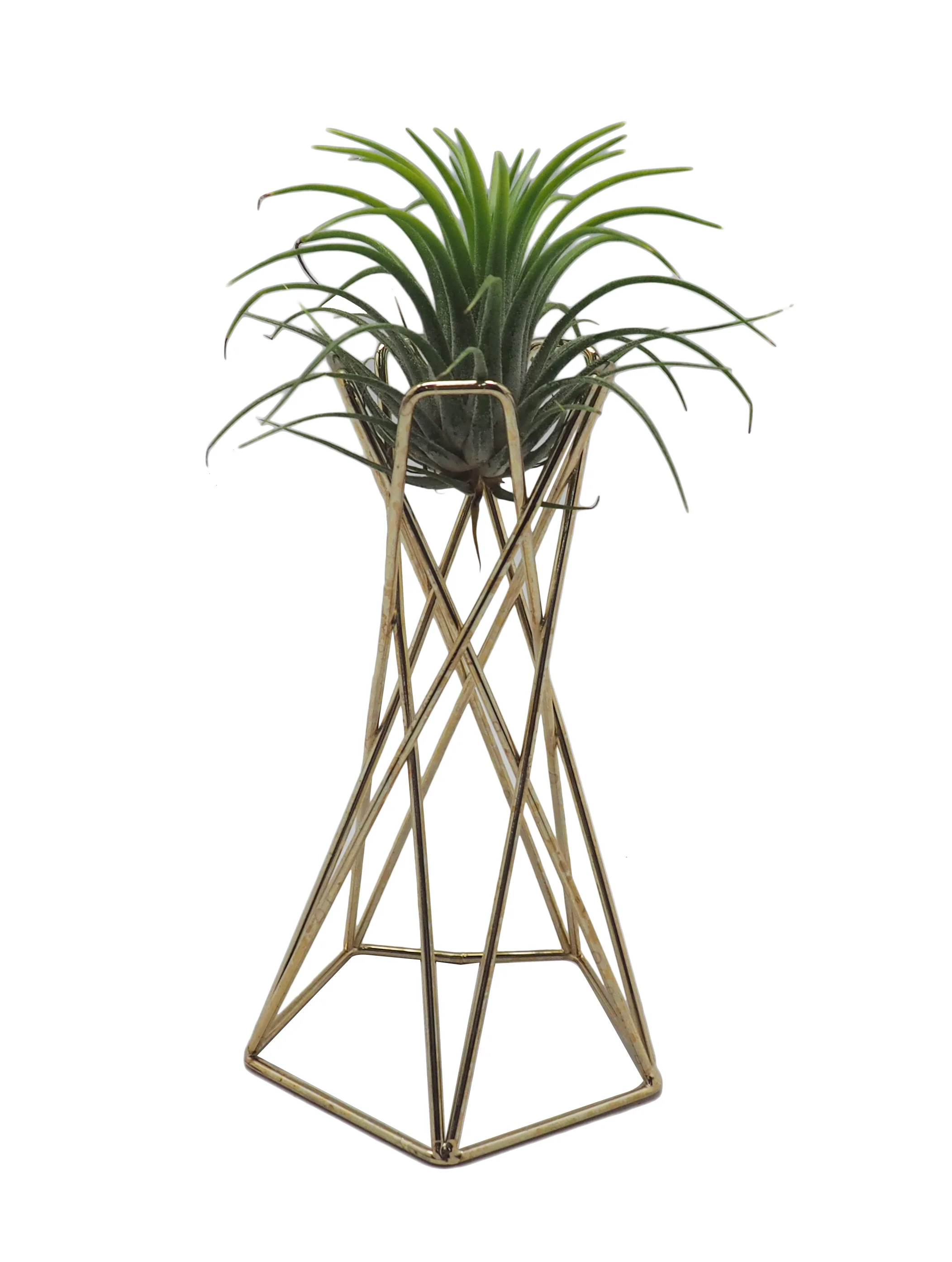 Hongxin new product  test tube flower vase gold or black for home decoration