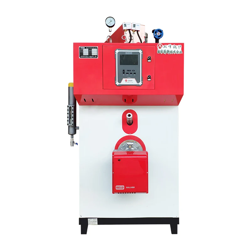 china industry hotel  natural gas steam generator foam products wood herbs drying small gas boiler