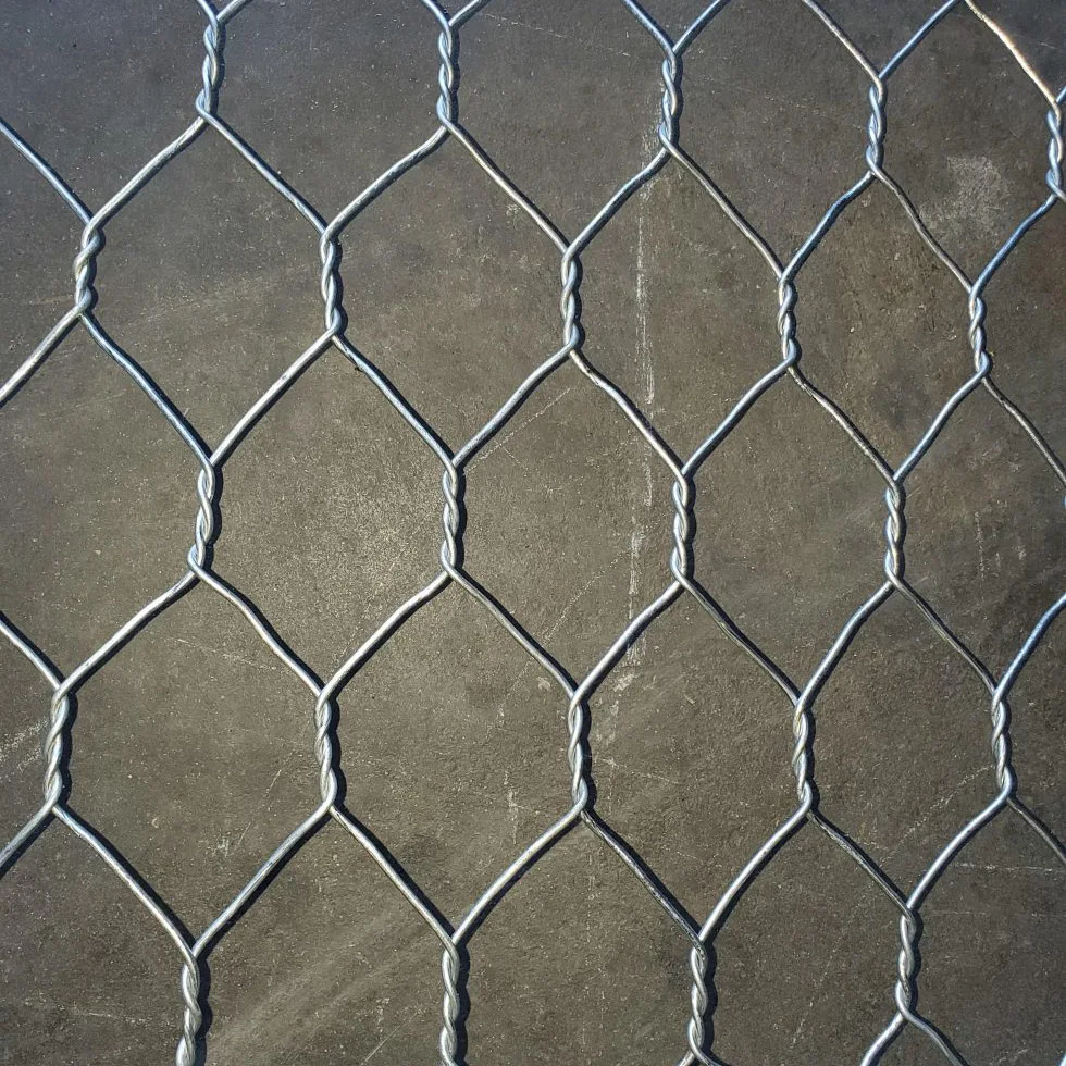 Professional Manufacturer Heavy Stainless Steel Hexagonal Gabion Wire Mesh