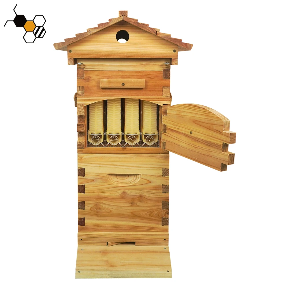 Golden Palace Flows Hive 4pcs Flowing Frames with 4pcs Automatic Flowing Tube and 1pcs Key Food-Grade