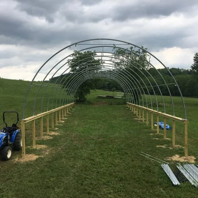 Single Truss Storage Building Warehouse Tent 308515R