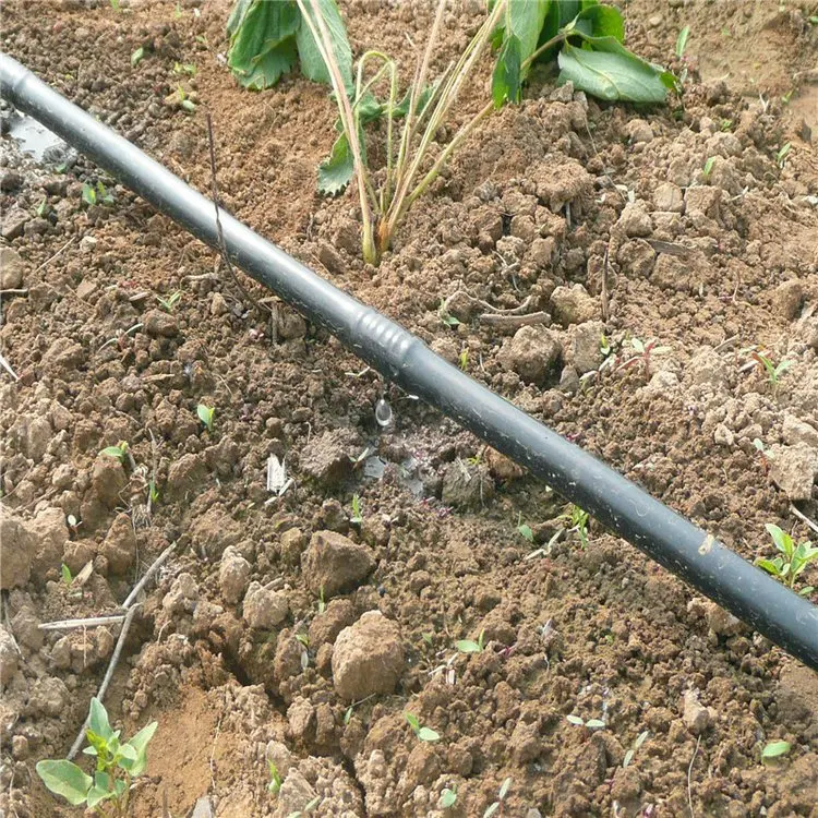 Manufacturer 2L 4L drip pipe long life irrigation system Dn16mm 20mm single hole drip line