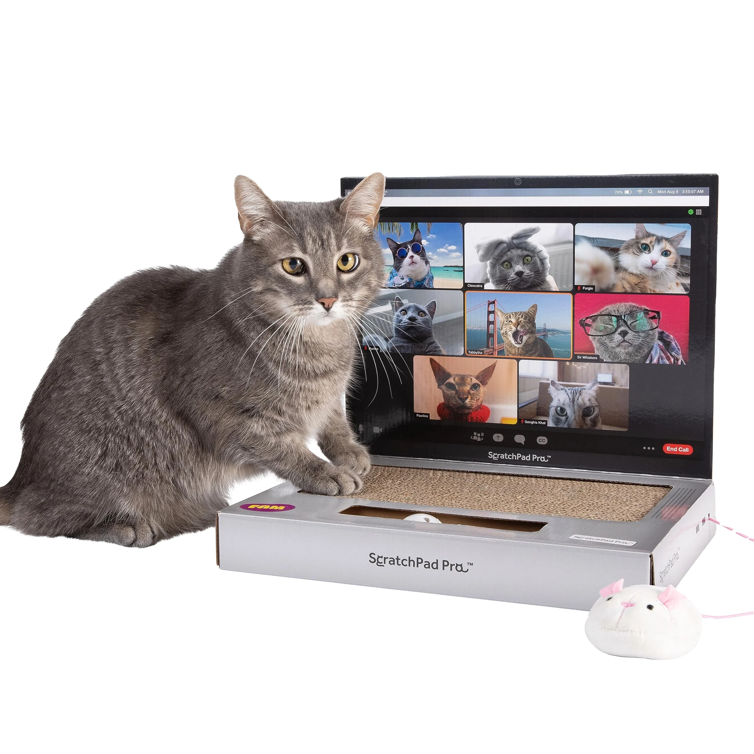2024 новый ноутбук wn Cat с пушистой мышкой интерактивные игрушки Когтеточка для домашних животных
