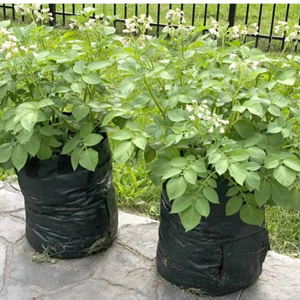 Outdoor 7 Gallon Potato Grow Bags with Flap and Handles Aeration Customized Garden Hydroponic Planter Vegetable Growing Pots