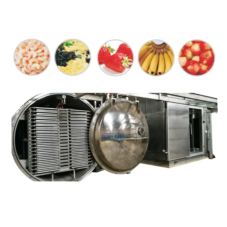 Hot sale acai berry freeze drying fruit machine lyophilized fruit