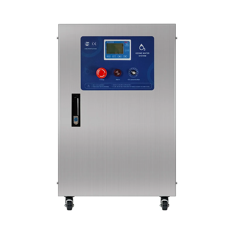 Factory Director High Quality Ozone System For Water 1-18 PPM Ozone Water Generator
