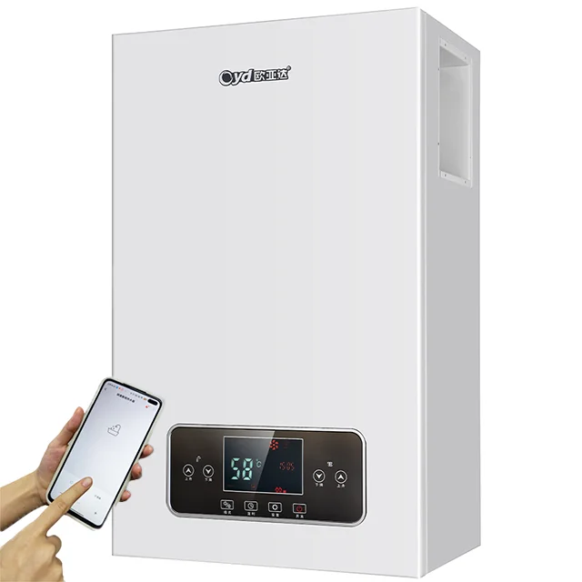 12kw 220v or 380v electric boiler for Home hot water and central heating double circuit