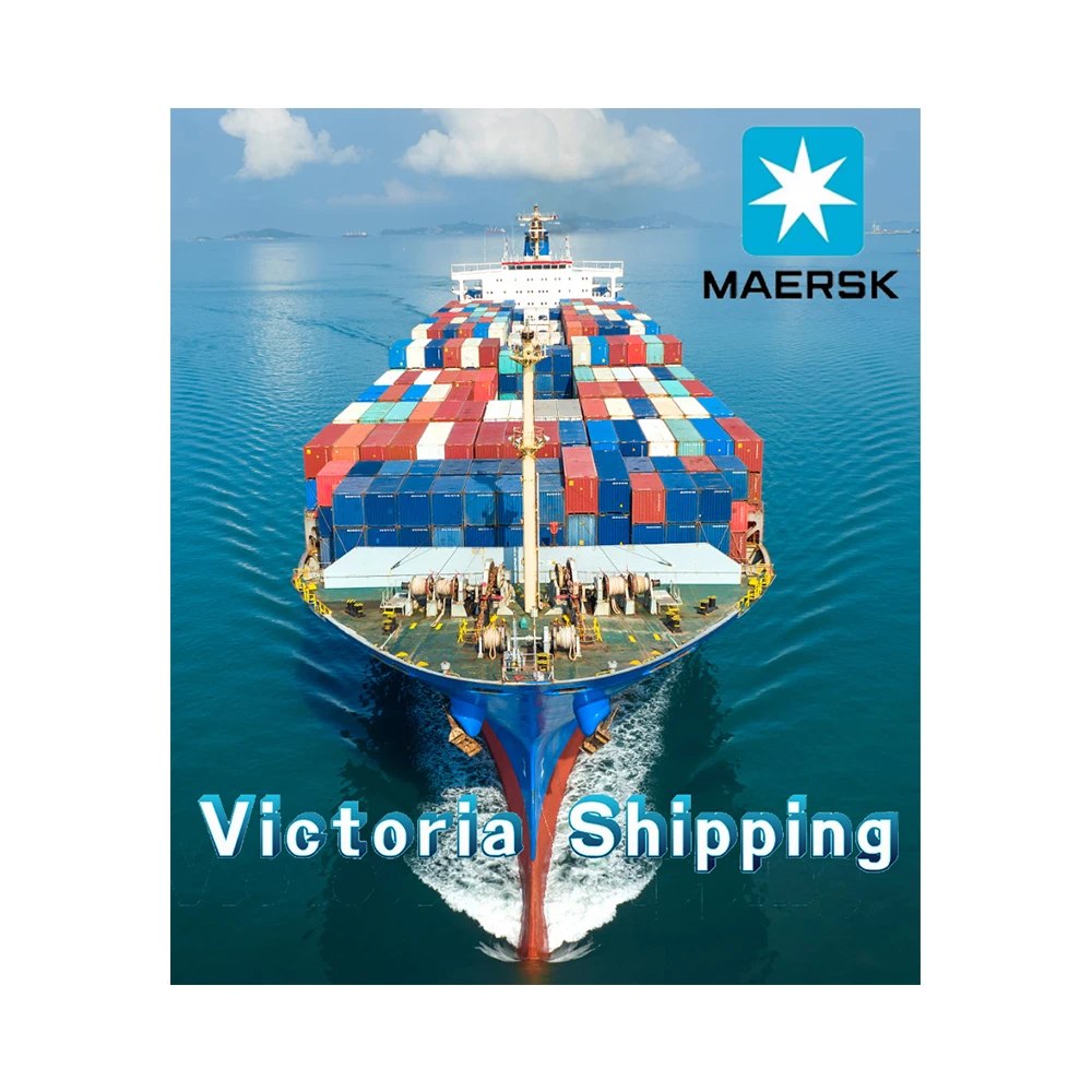 Sea Shipment Consolidated Agent Shipping Ddu Agency Fba Service Amazon