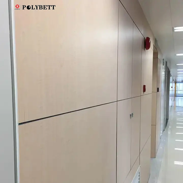 High Quality Low Cost Hospital Interior Hpl Hospital Wall Cladding Board Indoor Wall Cladding Panel From China