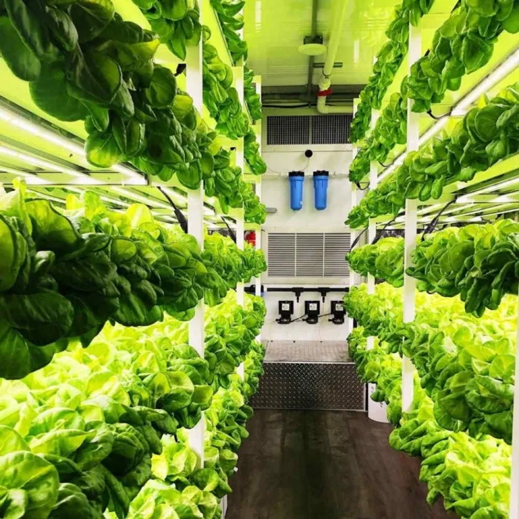 Container Farming Smart Indoor Farm Vertical Hydroponics System Small Plant Factory