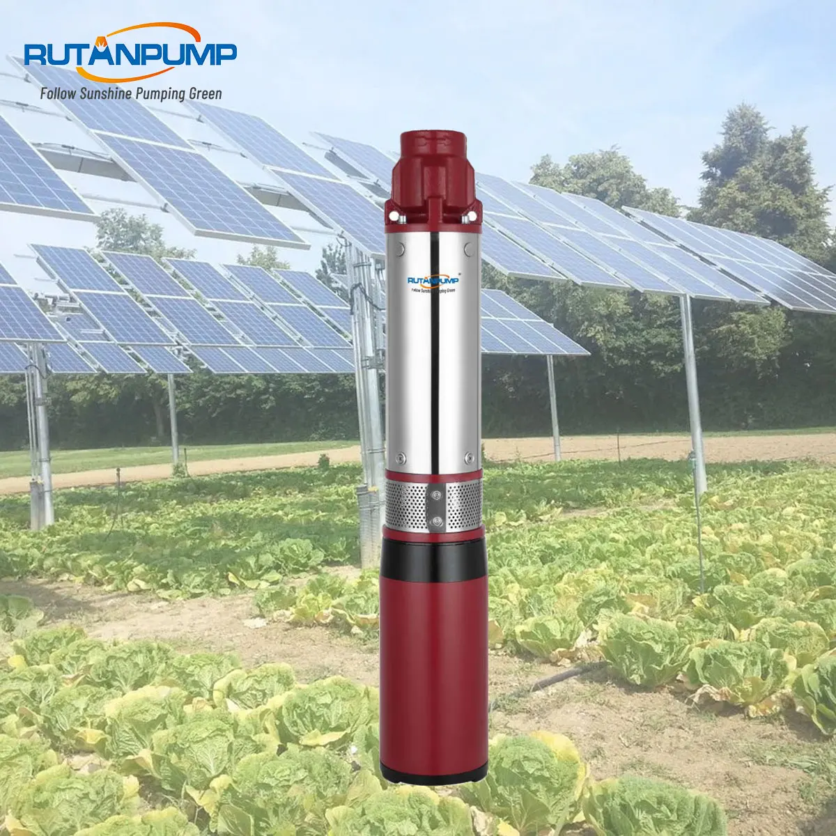 RUTANPUMP new arrive for domestic brushed solar water pump solar powered water pumps water pump solar 4 Inch 36v 300w