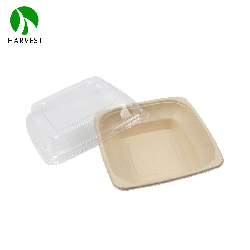 Disposable Bamboo Takeaway Sugarcane 32Oz 24Oz Pulp Food Container