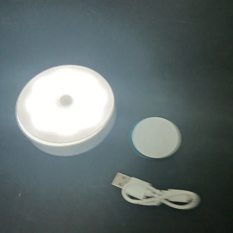 Indoor Motion Sensor Light Night Led Light
