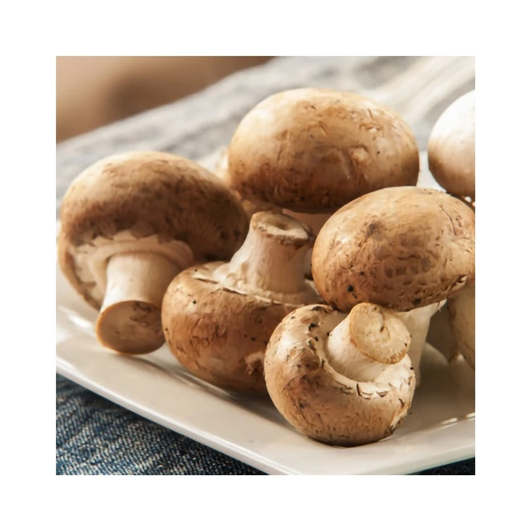 
Wholesale High Quality Whole Shape 4-6cm Thick Flesh Magic Mushrooms Dried Brown Shiitake Mushroom 
