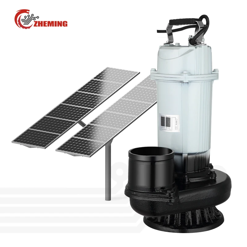 Zheming 48V 600W 2Inch Small Bore DC Low Power Submersible Well Solar Electric Water Pump