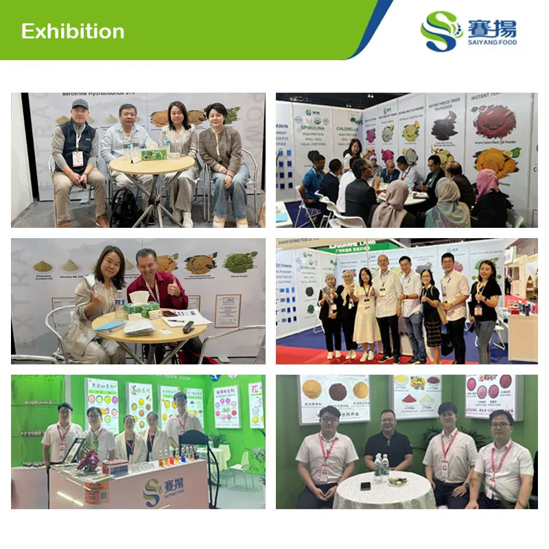 Wholesale Supply Best Price Sodium Alginate Powder Food Grade Sodium Alginate Supplement Top Sodium Alginate