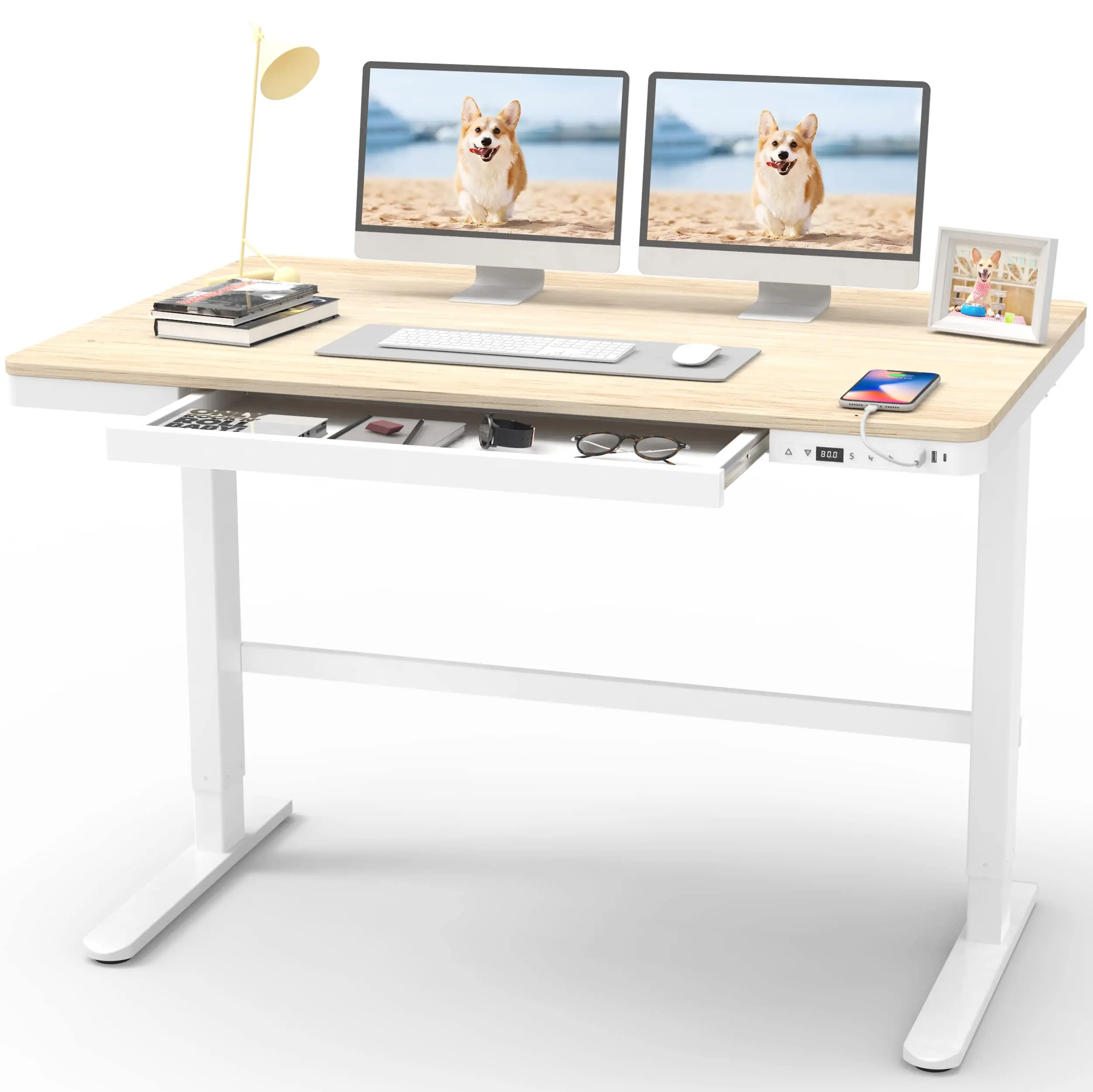 Electric Motorized standing des Standing Desk with Drawer, Height Adjustable Stand Up Desk with USB Charging Ports Wood Desktop