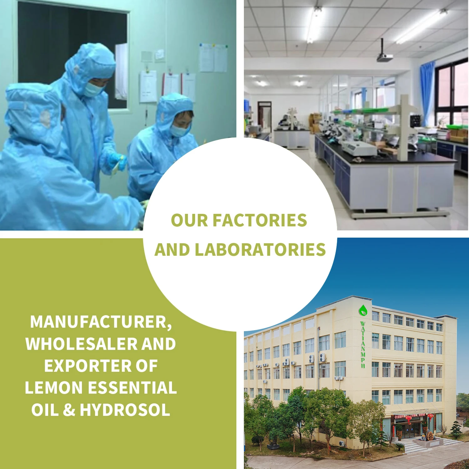 Wholesale Bulk Organic Cocoa Butter Manufacturer Raw Cocoa Butter Shea Mango Pure West Africa Cocoa Butter