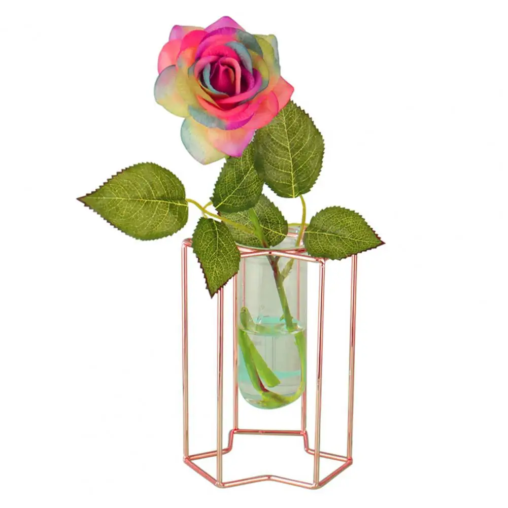 Nordic ins style Glass Vase Sturdy Construction Geometric Hollow Design Iron Modern Hydroponic Flower Pot Decor for living room