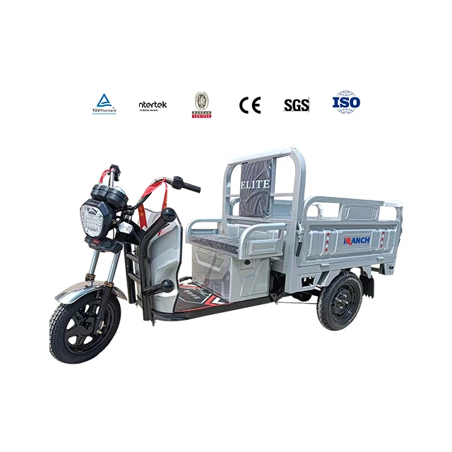 China Supply Motorcycle Three Wheeler Cargo City 3 Wheel Motorized Tricycle