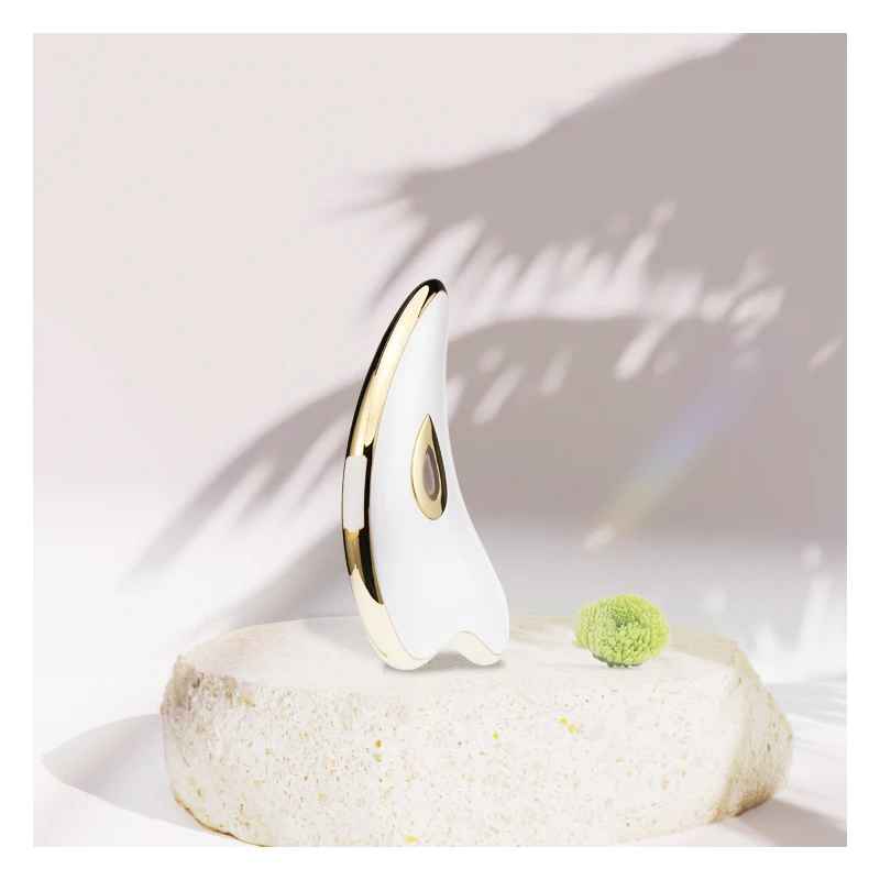 Hot Selling  Amazon Shenzhen Beauty device Facial Lifting TCM Bo Jn Massage Electric Aqua Facial anti aging massager