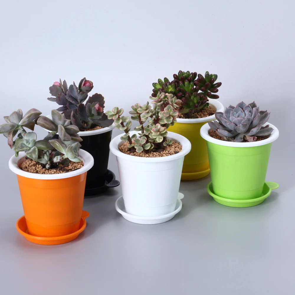 Double wall root control transparent plastic air pruning pot tropical orchid flower pot