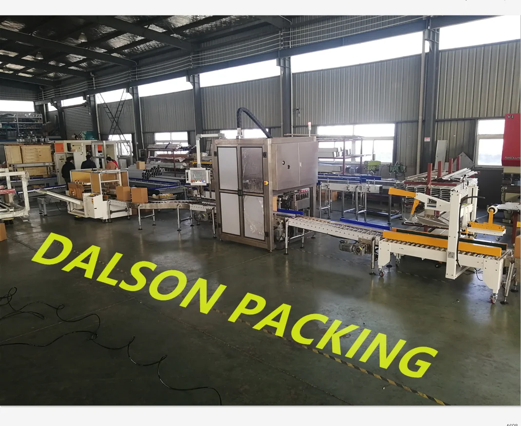 Bottle carton packaging machine,12 pack bottle boxing machine,bottle box carton packer machine