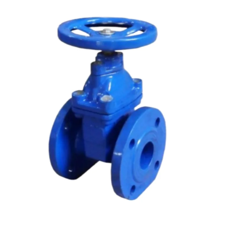 DIN F4 Cast Iron Soft Sealed Gate Valve