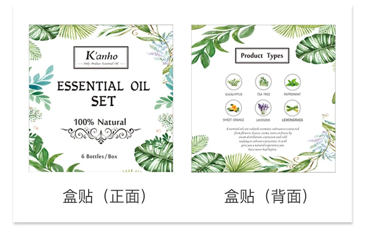 10ML 6 Pack Essential Oils 100% Pure Therapeutic Grade Oils kit Top 6 Aromatherapy Oils Gift Set