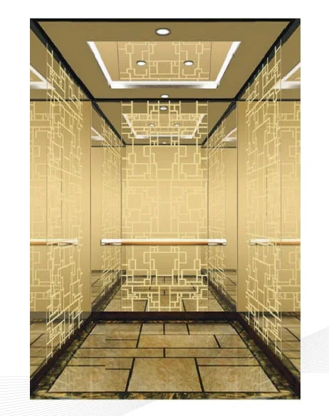 Luxury Cabin Luxury Passenger Elevator with ARD