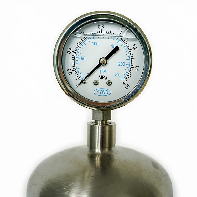 SUS304 Chemical Metering Pump Pulsation Damper Air Chamber Pulse Damper Pump With Pressure Gauge Damper For Dosing Pump