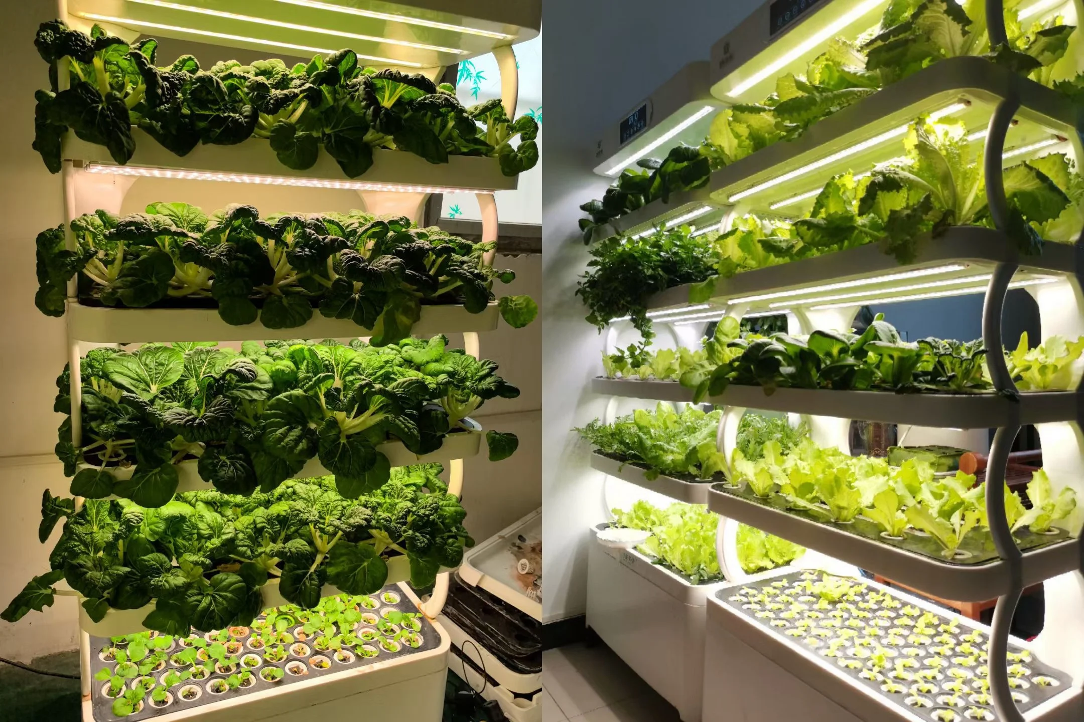 Smart garden hydroponic for home use hydroponics system intelligent plant growth kit indoor hydroponic planting