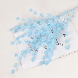 colorful preserved flower valentine fr uit for wedding decoration Birthday Party Home Decoration wedding decoration gift photogr