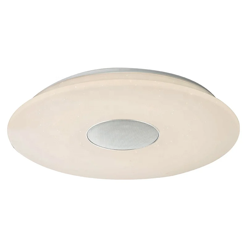 Smart 2.4G Remote Control Blue Tooth Music Speaker Round RGB CCT Adjustable Dimmable Lamp LED Acrylic Ceiling Light
