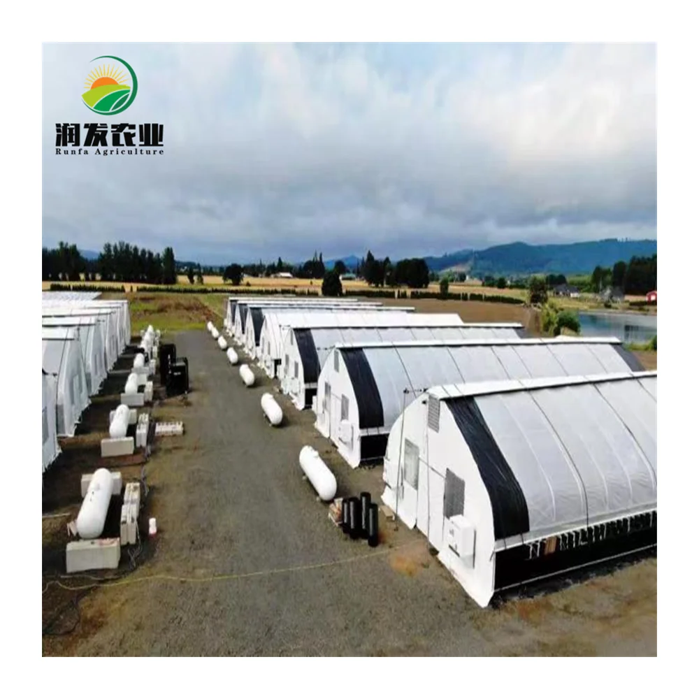 Rdwc Hydroponic Growing Systems With Green Houses Frames Used For Agriculture For medical Greenhouse With Growing Racks