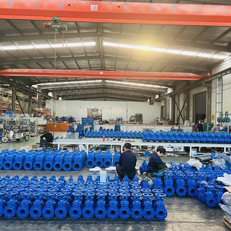 BS Z41X-10/16Q Factory Direct Ductile Iron Flange Type Water Seal Gate Valve Rising Stem Soft Seal Handwheel Os&y Gate Valve