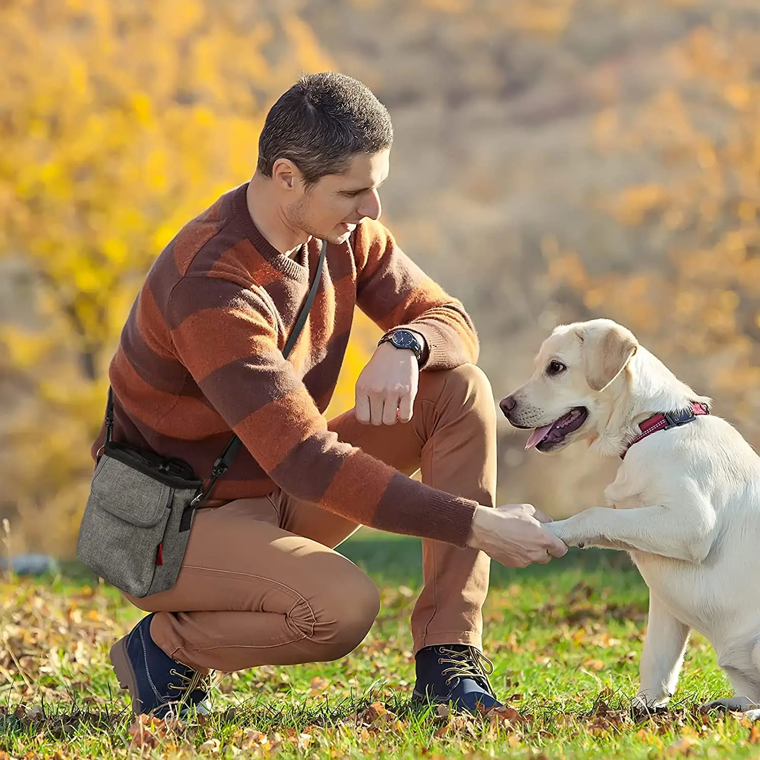 QQgift OEM на заказ сумка для собак прогулок и дрессировки щенков складная дорожная миска еды воды питомцев