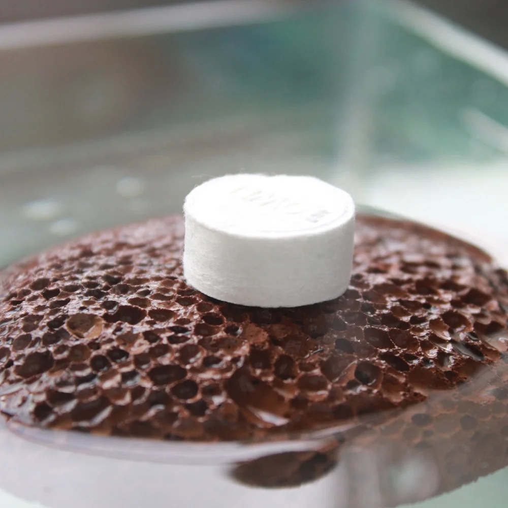 Compressed Magic Coin Towel Napkin Tissue Portable Disposable Just add water