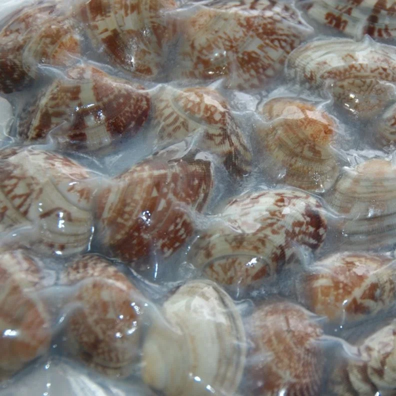 
Vacuum-Packed Frozen Fresh Cooked Yellow Clam Meat Cockle 